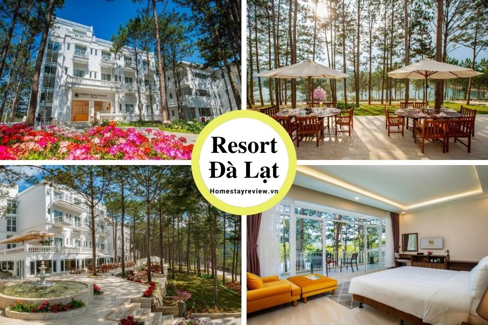 Top 25 Resort Đà Lạt giá rẻ view rừng thông đẹp chuẩn 3-4-5 sao tốt nhất