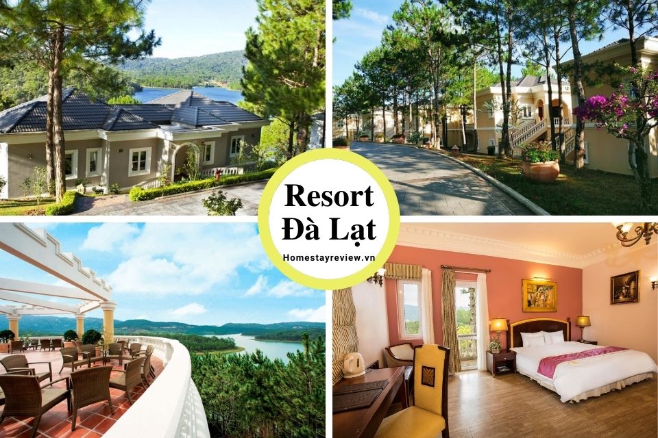 Top 25 Resort Đà Lạt giá rẻ view rừng thông đẹp chuẩn 3-4-5 sao tốt nhất