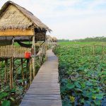 Top 12 Homestay Đồng Tháp - Sa Đéc - Cao Lãnh view đẹp giá rẻ nhất