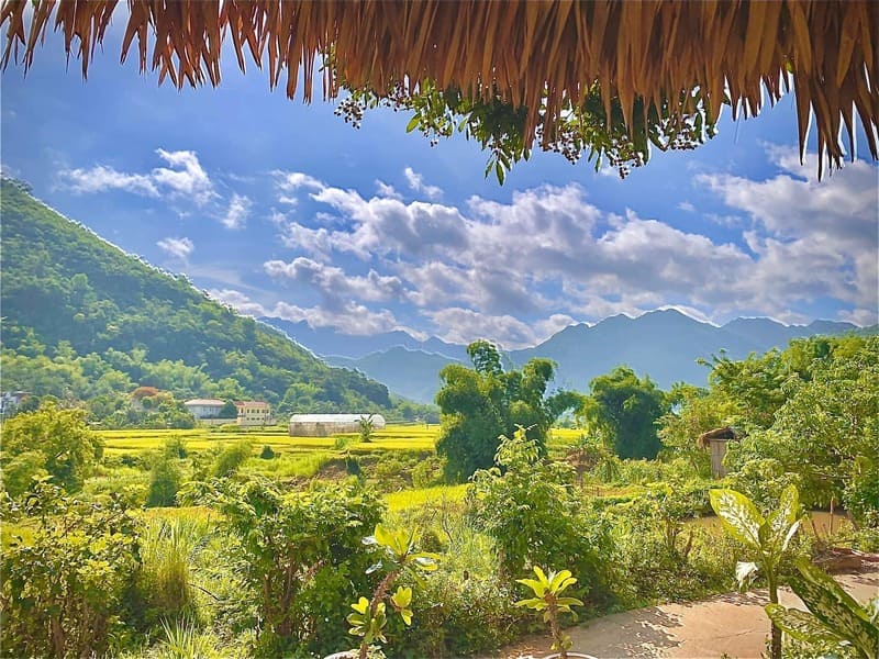 Top 10 Homestay Mai Châu giá rẻ đẹp view ngắm núi ruộng bậc thang