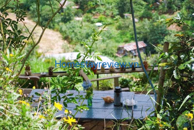 Owl in the Tree Homestay: Nhà nghỉ ở nhà dân "cấm" lưng chừng một ngọn đồi kỳ lạ ở Đà Lạt