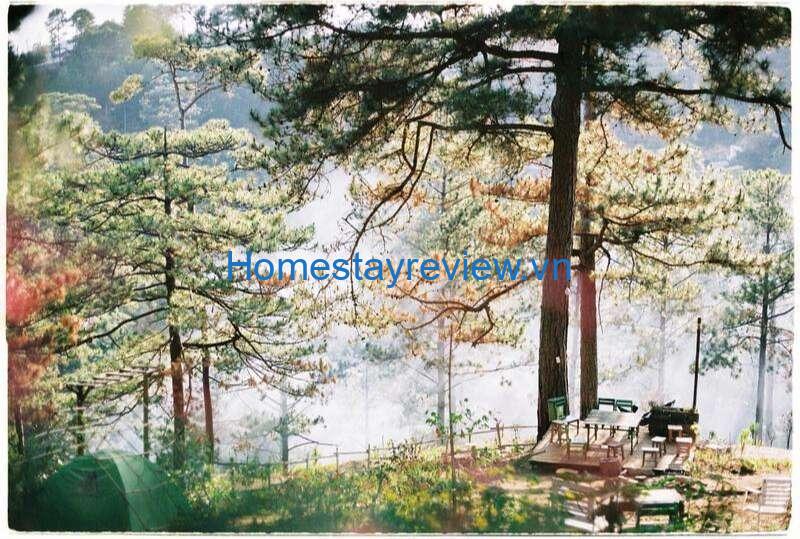 Top 10 Homestay săn mây Đà Lạt có view đẹp ngắm đồi rừng núi