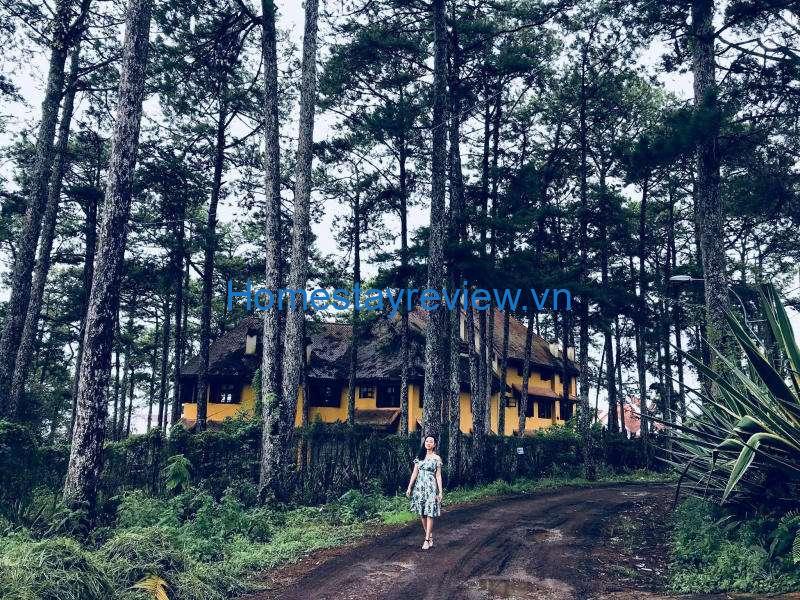 Nomini Homestay: Căn nhà gỗ xinh xắn giữa đồi thôngcho cặp đôi