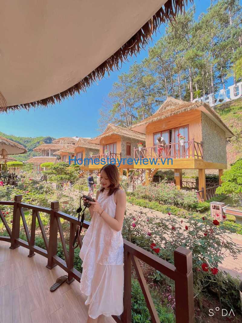 Top 8 Resort Mộc Châu và khu nghỉ dưỡng ở Mộc Châu view đẹp nhất